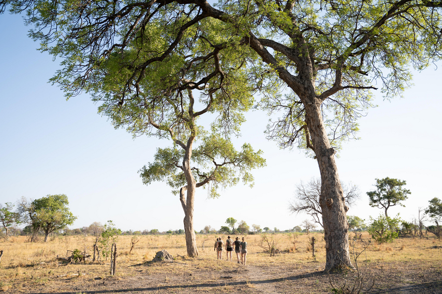 Karangoma Camp