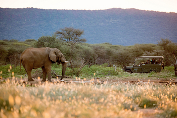 Old Traders Lodge: Aktivitäten