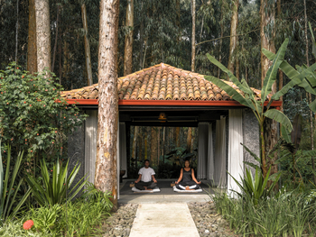 One and Only Gorilla's Nest: Yoga