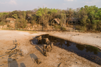 Savute Safari Lodge: Elefantenschatten