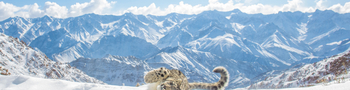 Shan at Uley: Schneepanorama