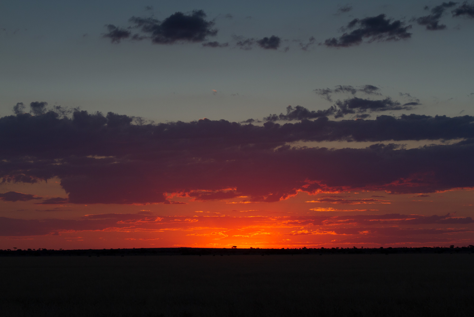 Tau Pan Camp Tau Pan Camp: Letztes Licht