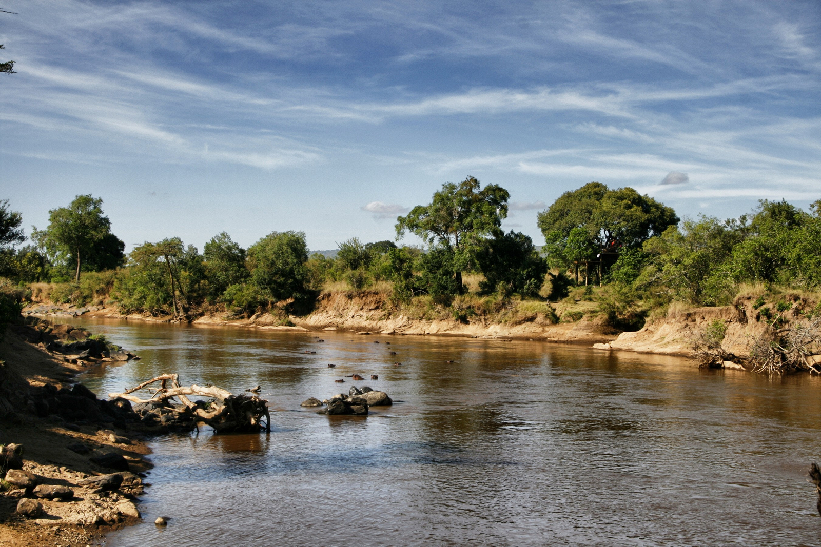 The Nest Treehouse The Nest Treehouse: Flusslandschaft