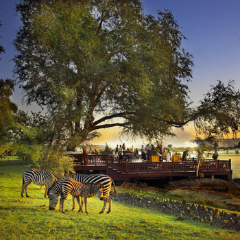 The Royal Livingstone: Zebras vor den Sundowner Deck