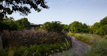 Woods at Sasan: Gartenweg