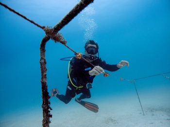 andBeyond Mnemba Island Lodge: Korallenzucht
