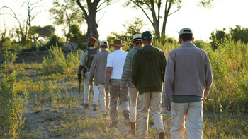 Atzaro Okavango Camp: Walking Safari