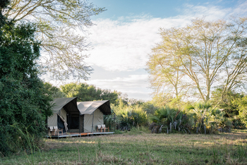 Chicari Camp: Treehide Safari Tent