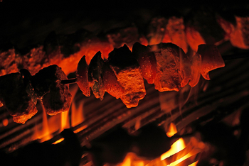 Forsyth Lodge Forsyth Lodge: Fleischspieß