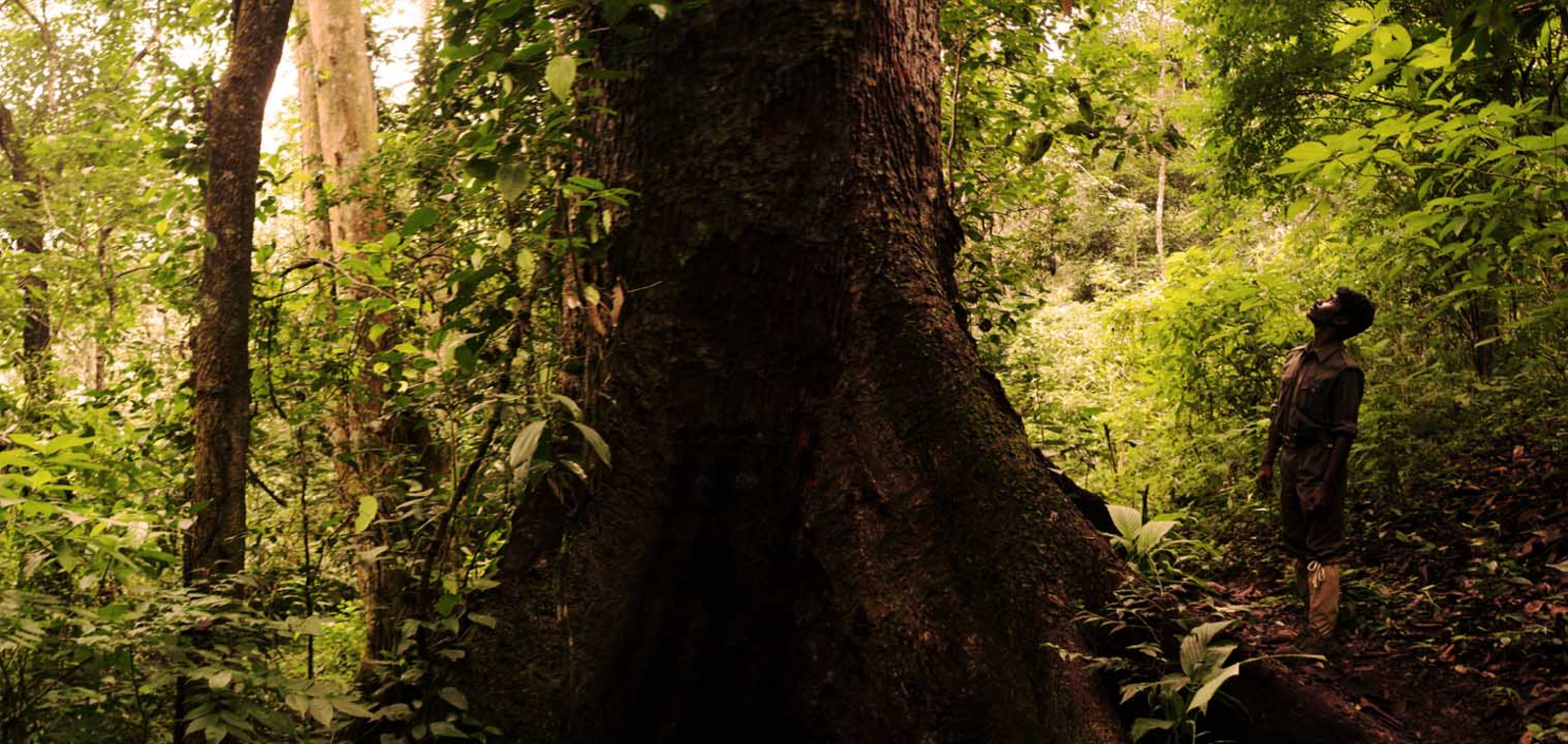 Spice Village Spice Village