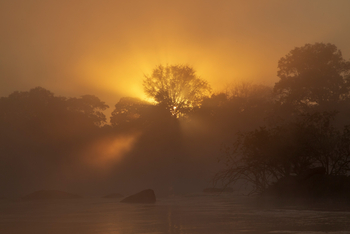 KaingU Safari Lodge: Morgennebel