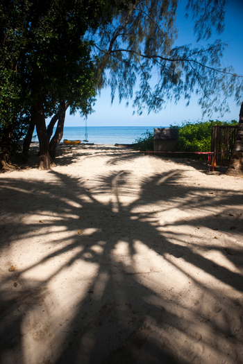 Kinondo Kwetu Kinondo Kwetu: Schatten einer Palmenkrone