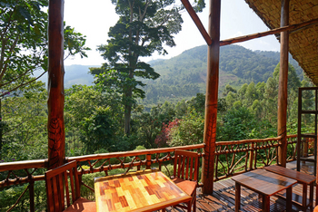 Mahogany Springs Safari Lodge: Blick