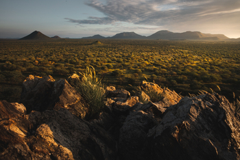 Old Traders Lodge: Landschaft