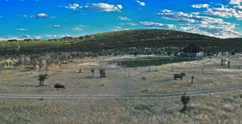 Safarihoek Lodge Safarihoek Lodge: Beobachtungsunterstand und Wasserloch