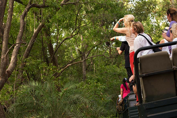 Sawai Vilas: Tigersichtung