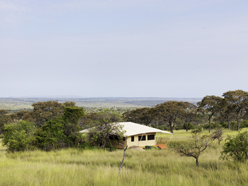 Serengeti Bushtops: Gästezelt mit Blick