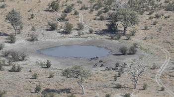 Tau Pan Camp Tau Pan Camp: Pfanne aus der Luft