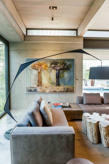 Cheetah Plains Mapogo House: Moderne Lounge