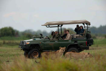 Duba Plains Camp: Zwei Löwinnen
