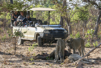 KaingU Safari Lodge: LGame Drive