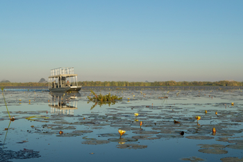 Kala Camp: Motorbootausflüge