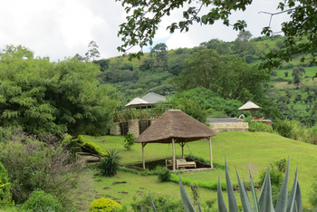 Katara Lodge: Rasen vor dem Pool