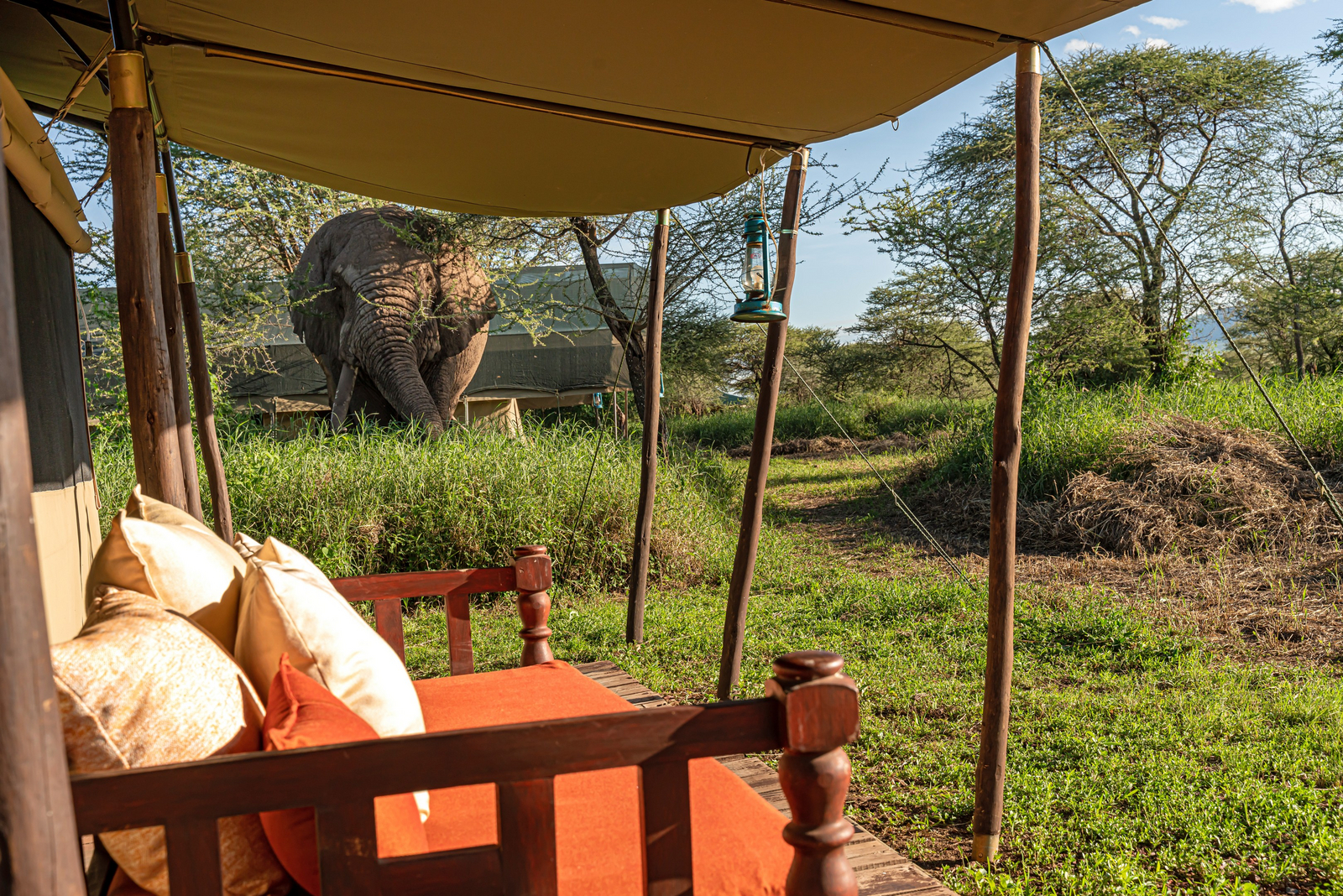 Lemala Ewanjan Tented Camp Lemala Ewanjan Tented Camp: Elefant im Camp