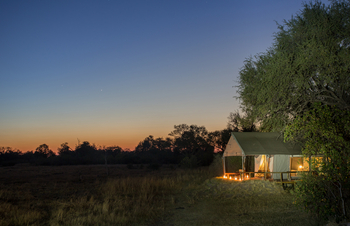 Little Machaba Camp: Zelt in der Abenddämmerung