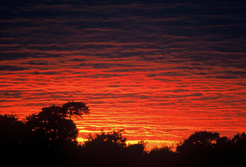Machaba Camp: Glühender Abendhimmel