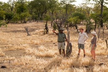 Mana River Camp Mana River Camp: Walking Safari