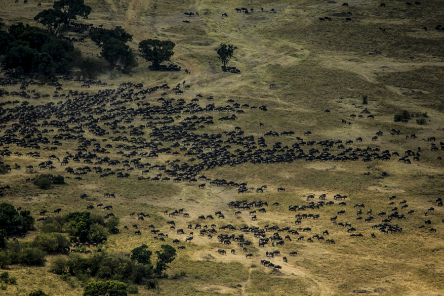 Mara Toto Tree Camp