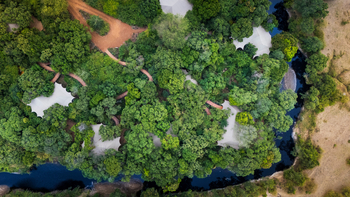 Mara Toto Tree Camp: Zentralbereich Luftbild
