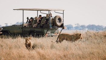 Mukambi Busanga Plains Camp: Game Drive