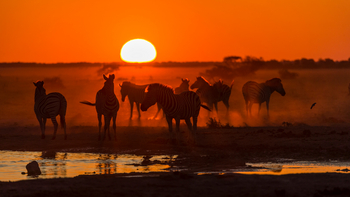 Nxai Pan Camp: Sonnenuntergang am Wasserloch