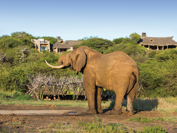 Ol Donyo Lodge: Photographic Hide