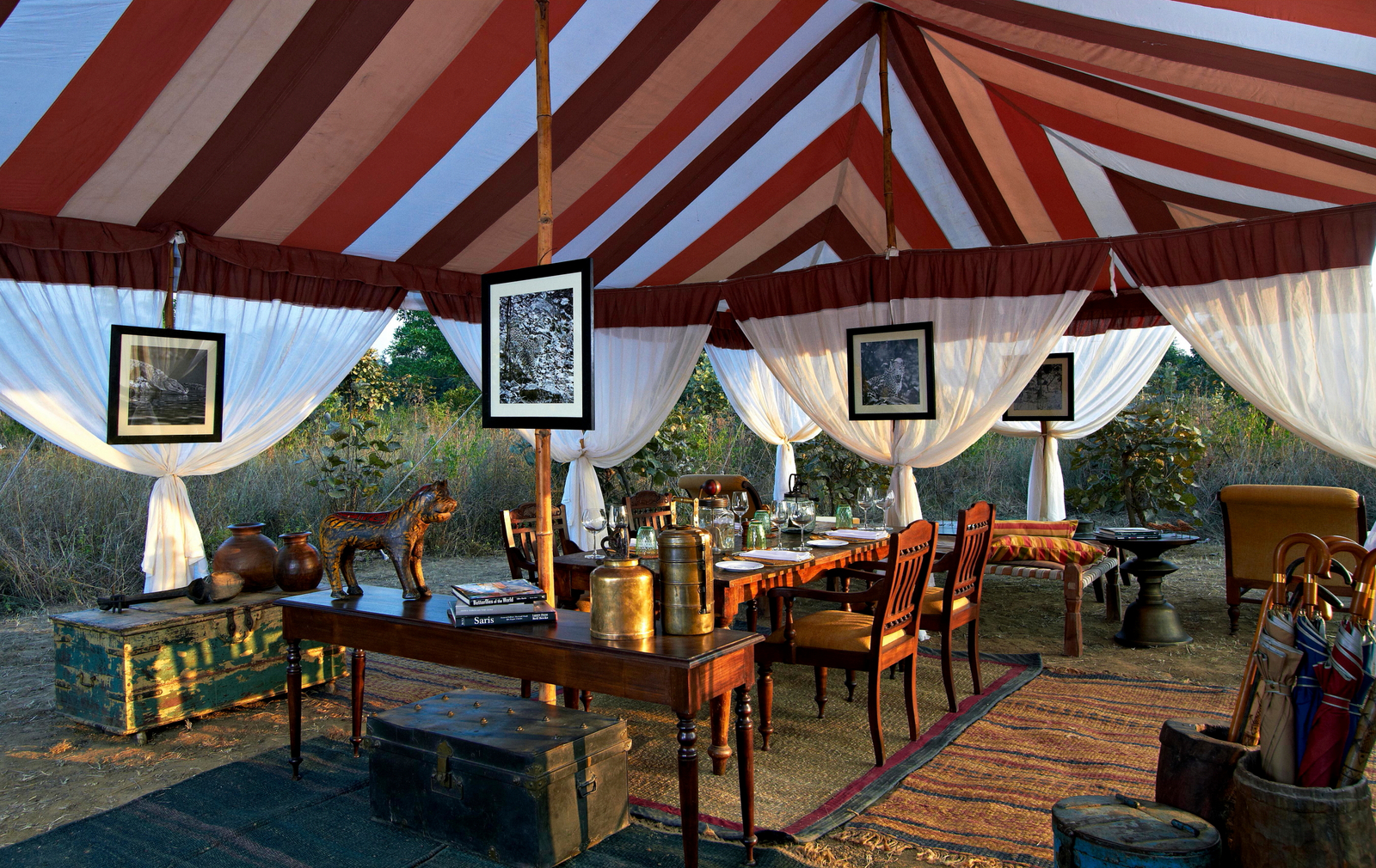 Samode Safari Lodge Samode Safari Lodge: Loungezelt im Morgenlicht