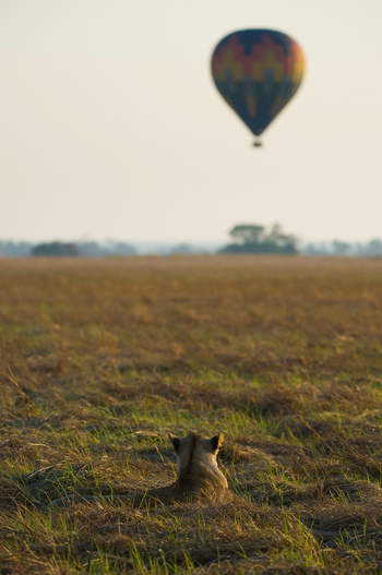 Shumba Camp Shumba Camp: Ballonfahrt