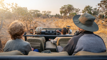 Time + Tide South Luangwa Time + Tide South Luangwa: Game Drives