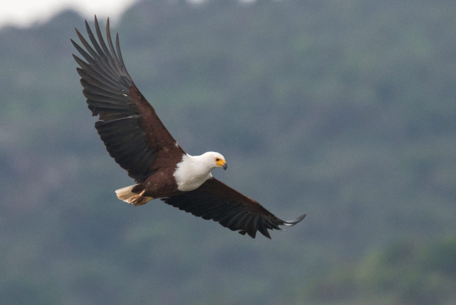 Akagera Game Lodge Akagera Game Lodge