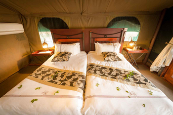 Camp Savuti: Einzelbetten