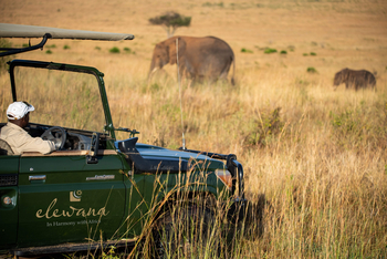 Elewana Sand River Masai Mara Camp Elewana Sand River Masai Mara Camp: Game Drive