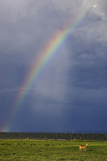 Konkamoya Lodge: Regenbogen