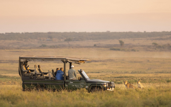 Little Governors' Camp: Game Drive