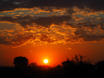 Luambe National Park: Späte Sonne