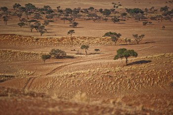 Namib Desert Lodge: Vegetationsarme Landschaft