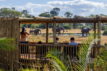 Sabi Sabi Bush Lodge: Gäste beobachten Elefanten auf Holzdeck