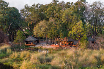 Shinde Footsteps Shinde Footsteps: Main Area