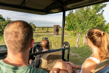 Time + Tide South Luangwa Time + Tide South Luangwa: Game Drives