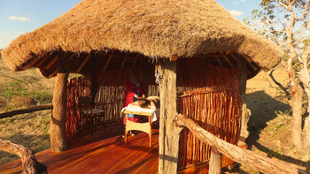 Campi ya Kanzi: Wellness